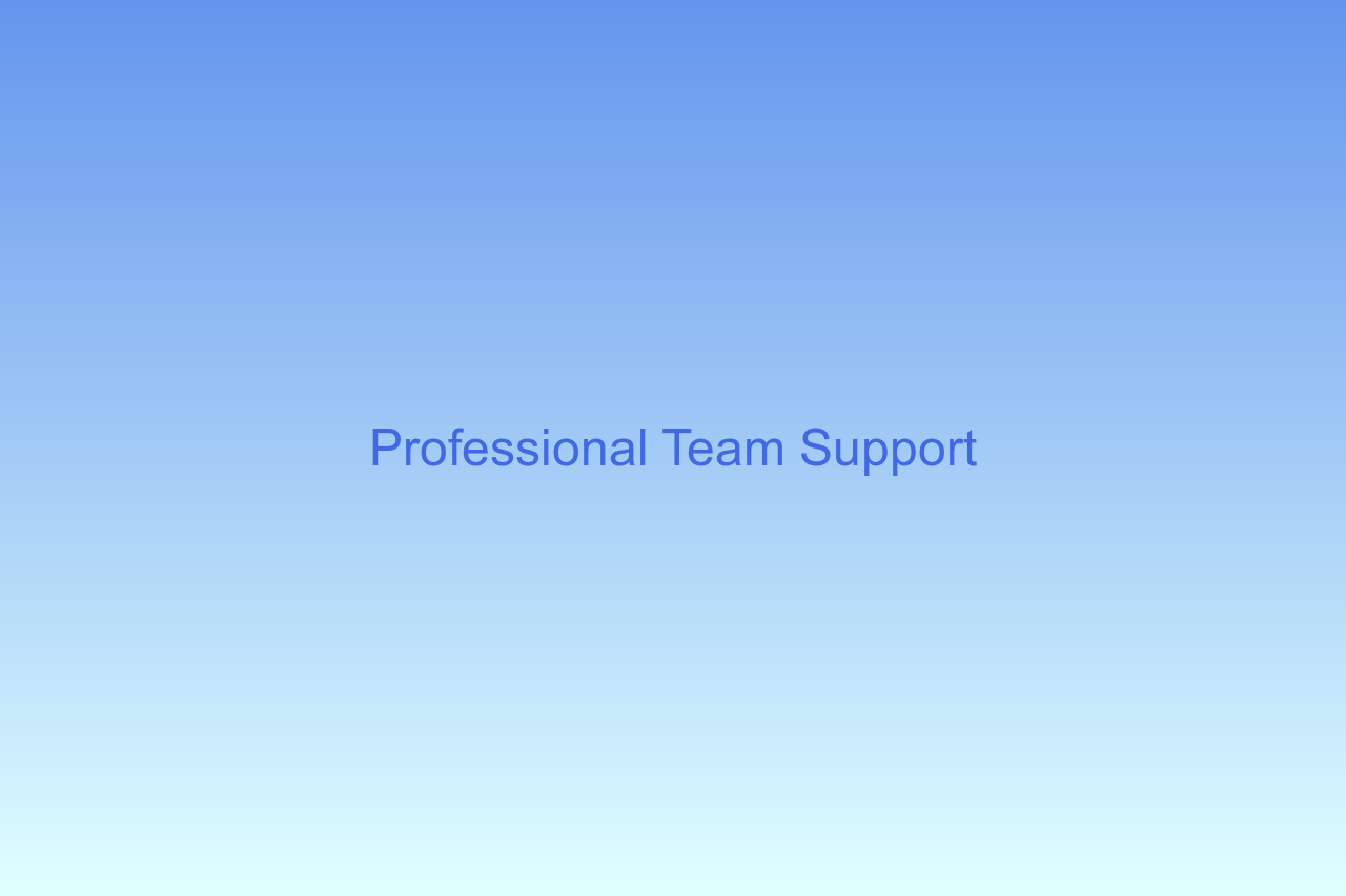 Professional team collaboration on home improvement projects